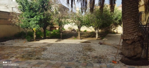 Vente Terrain Boumerdès Hammedi