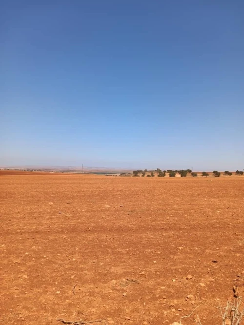 Vente Terrain Agricole Aïn Témouchent Hammam bouhadjar