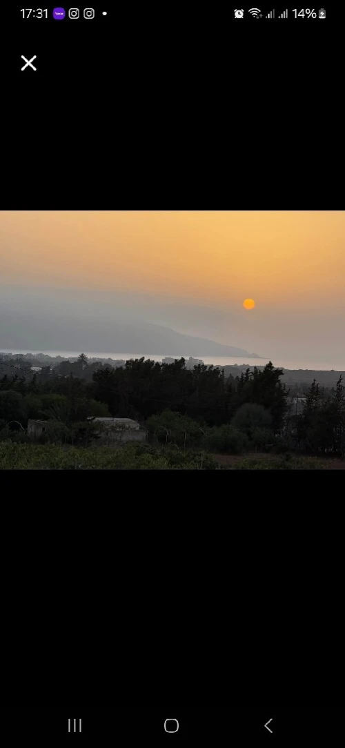 Vente Terrain Agricole Oran Bousfer