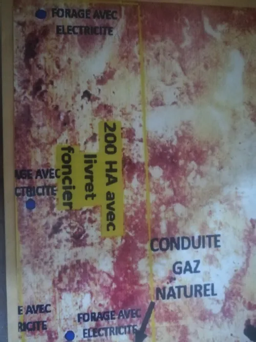 Vente Terrain Agricole Naâma Mecheria 2