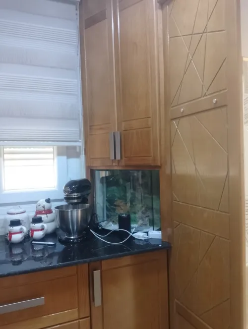 Vente Appartement F3 Médéa Medea