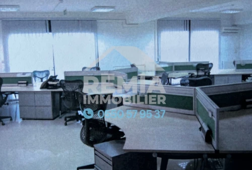Location Immeuble Alger Hydra