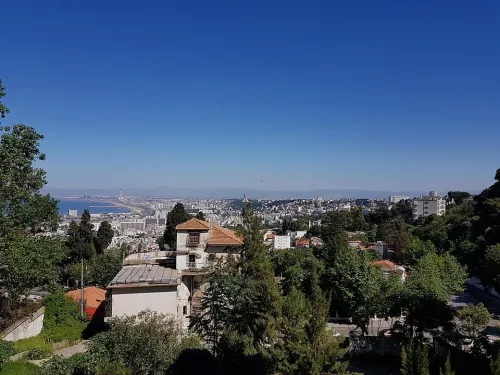 Cherche achat Villa Alger El biar