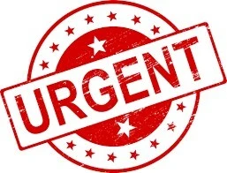 Cherche location Local Alger Kouba