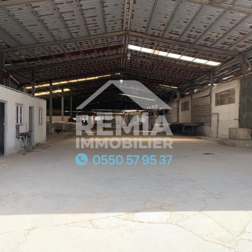 Vente Hangar Alger Birtouta