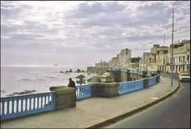 Vente Appartement Niveau de villa F4 Alger Bologhine