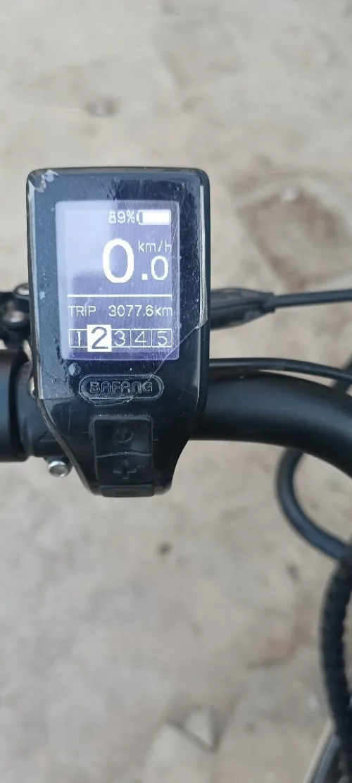 Cargo douze cycle LT1
