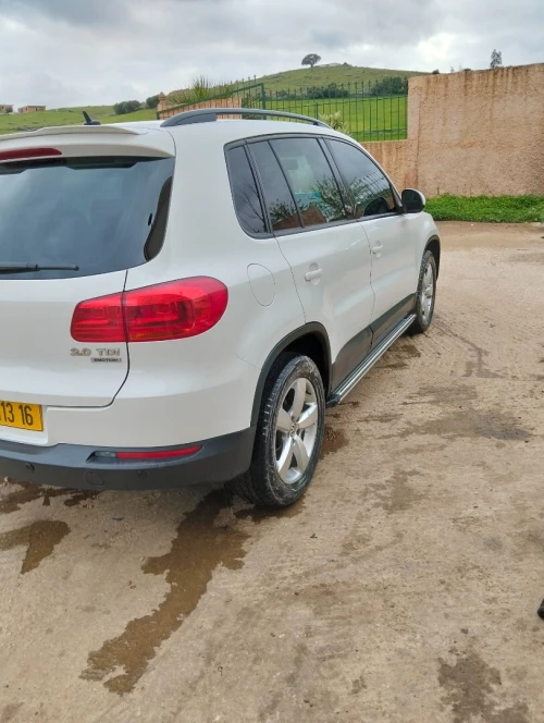 Volkswagen Tiguan 2013 Tiguan