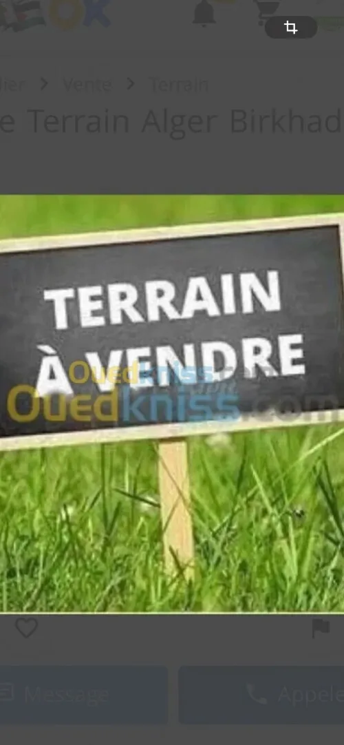 Vente Terrain Alger Birtouta