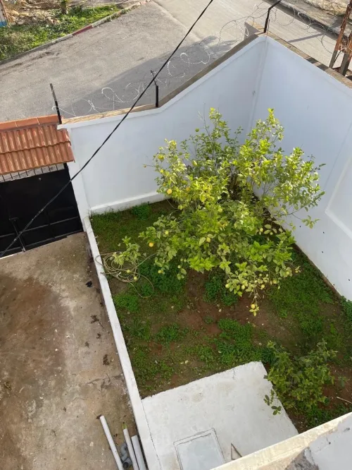 Location Villa Alger Dely brahim