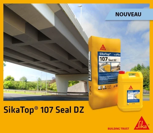 SIKA TOP 107