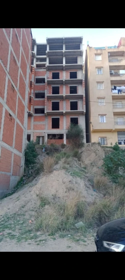 Vente Terrain Alger Rais hamidou