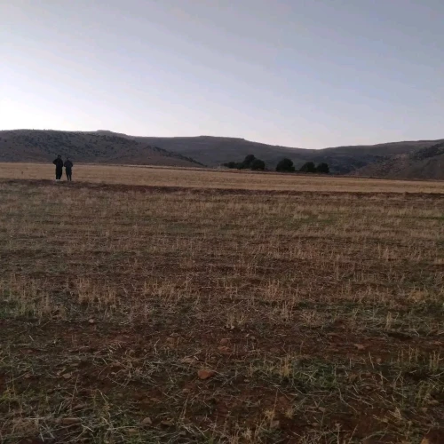 Vente Terrain Agricole Khenchela El hamma