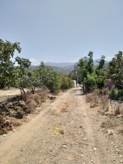 Vente Terrain Blida Ouled selama