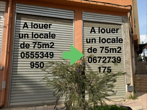Location Local Tizi Ouzou Tizi ouzou