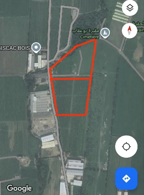 Vente Terrain Blida Boufarik