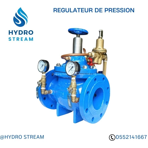 REGULATEUR DE PRESSION JOINT DE DEMONTAGE VENTOUSE A BRIDE COMPTEUR D'EAU A BRIDE FLOTEUR MECANIQUE VANNE CLAPET A BOULE