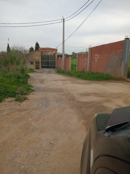 Vente Terrain Boumerdès Ouled moussa