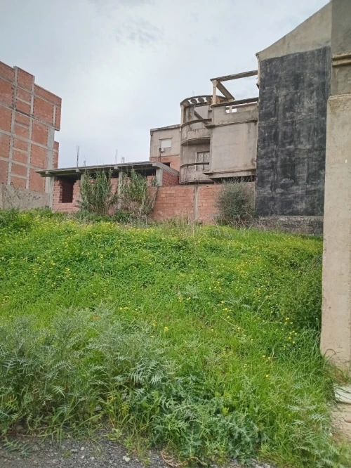 Vente Terrain Boumerdès Ouled moussa