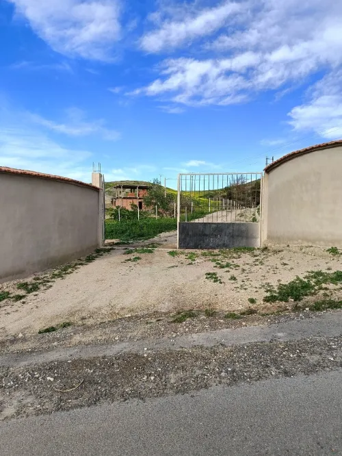 Vente Terrain Aïn Témouchent Ain kihal
