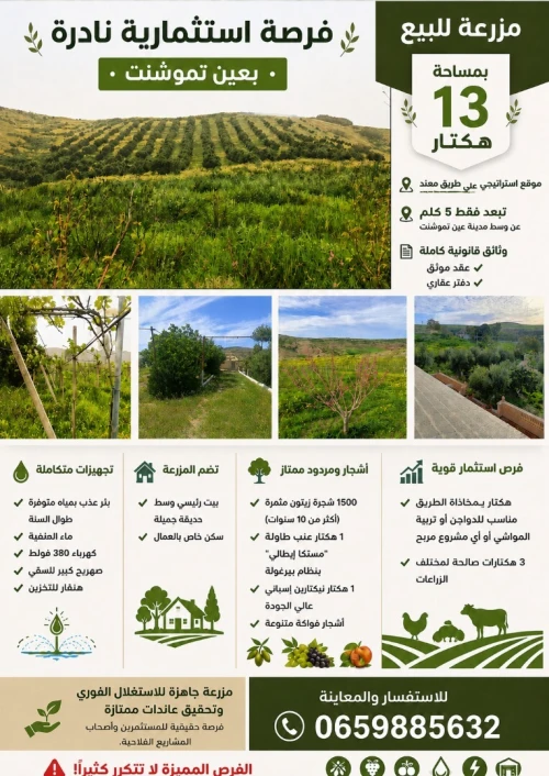 Vente Terrain Aïn Témouchent Ain kihal