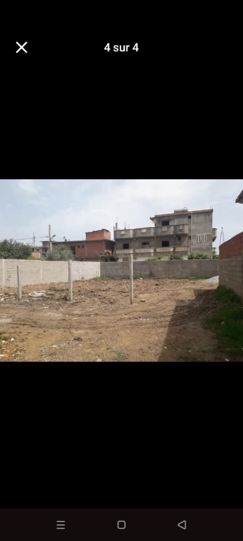 Vente Terrain Skikda Azzaba
