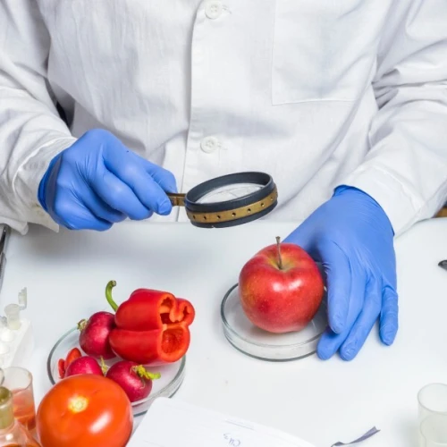 Certification HACCP  Pour Entreprises Agroalimentaires, Hôtels & Catering