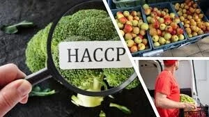 Formation HACCP pour Hôtels, Catering & Agroalimentaire