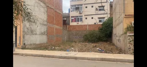 Vente Terrain Oran Es senia