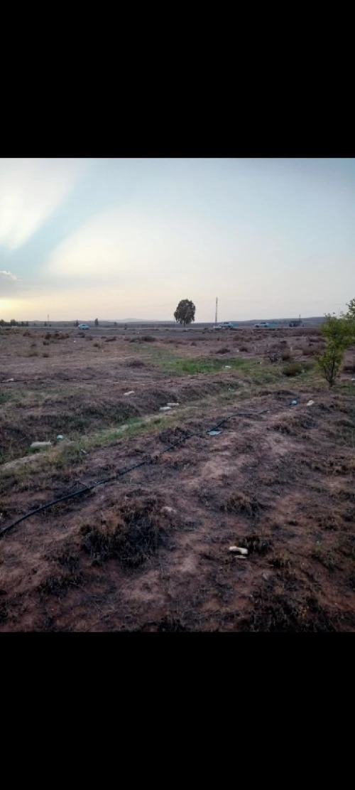 Vente Terrain Agricole Laghouat Tadjemout