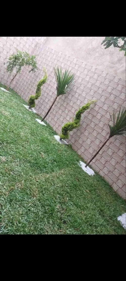Gazon naturel عشب طبيعي 