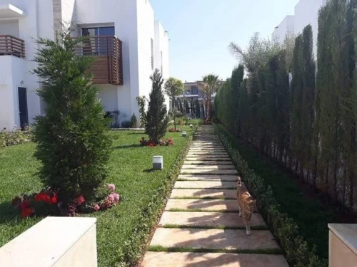 Gazon naturel عشب طبيعي 