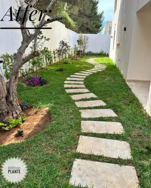 Gazon naturel عشب طبيعي 