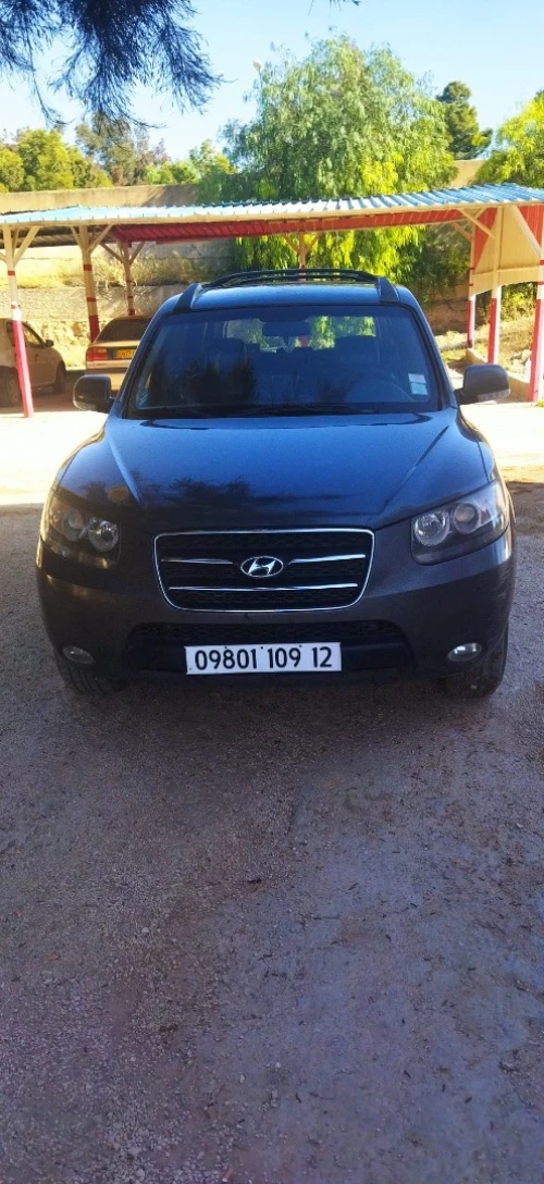 Hyundai SantaFe 2009 SantaFe