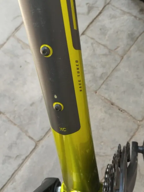 Vélo professionnel Bulls 