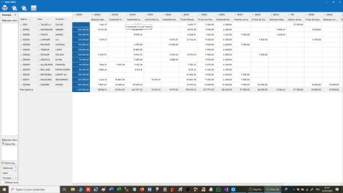 Logiciel Easy-Paie Pro - برنامج إدارة الأجور والعمال