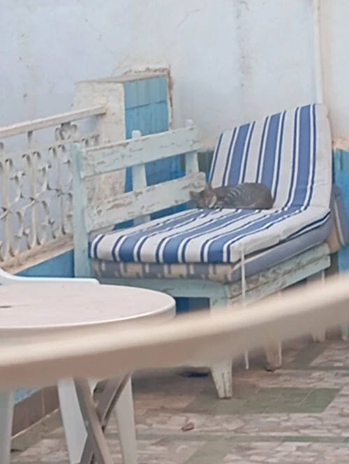 Vente Villa Tlemcen Tlemcen