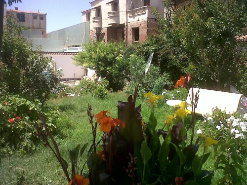 Vente Villa Alger Staoueli
