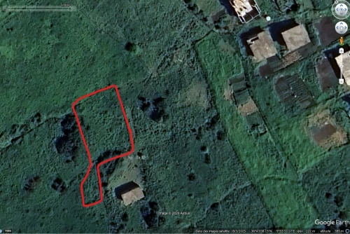 Vente Terrain Jijel Ouadjana