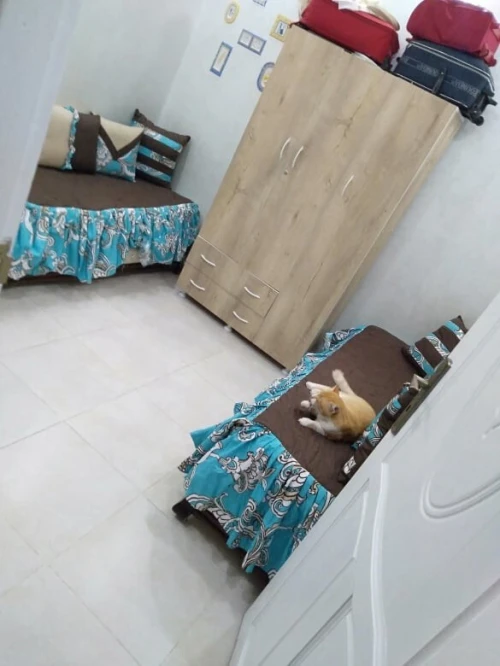 Vente Villa Alger Bologhine