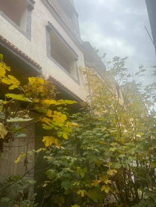 Vente Villa Skikda Collo