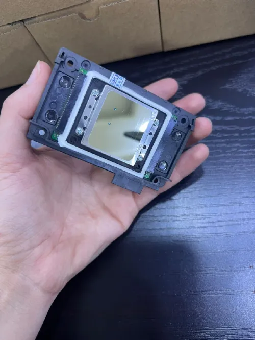 Xp6000