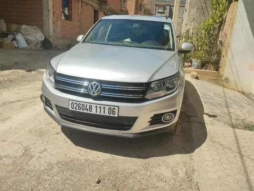 Volkswagen Tiguan 2011 Tiguan
