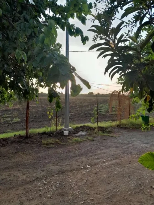 Vente Villa Blida Meftah