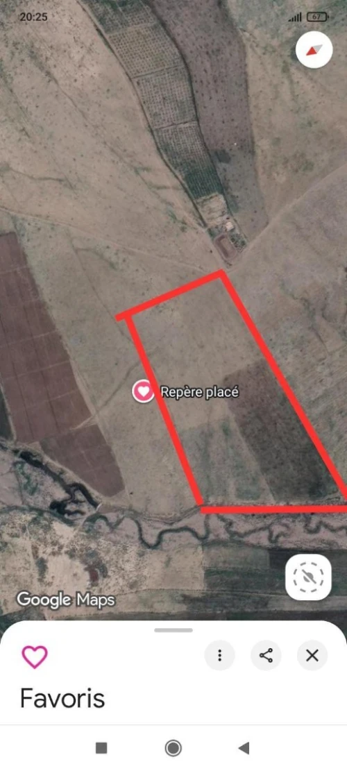 Vente Terrain Khenchela Kais