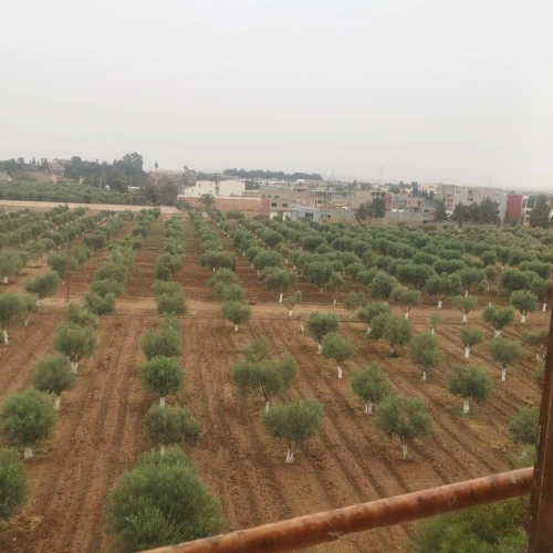Vente Appartement F3 Oran Oran