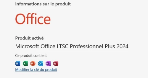 Office LTSC Professionnel Plus 2024 50, 100, 200, 500, 1000 Postes