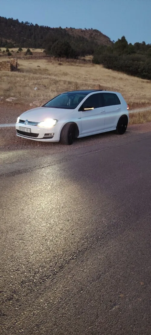 Volkswagen Golf 7 2016 Cats+