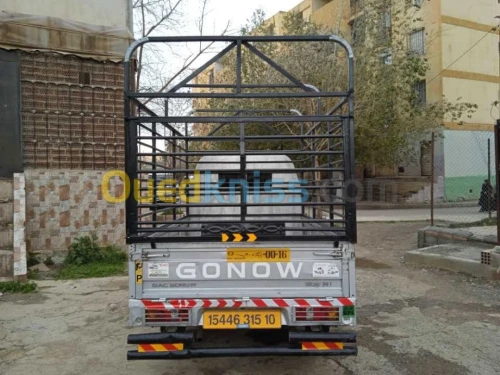 Gonow Gonow 2015 Bass clim