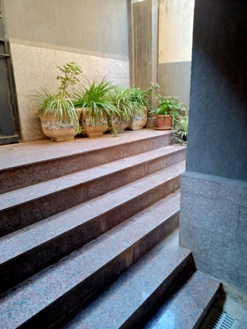 Vente Appartement Alger Kouba